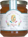 Miele di Amorfa frutticosa